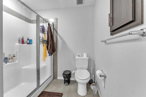 130 Red Sky Crescent Ne, Calgary, AB - Indoor Photo Showing Bathroom