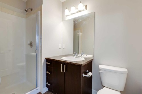 509-121 Copperpond Common Se, Calgary, AB - Indoor Photo Showing Bathroom