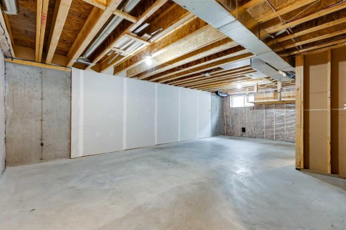 509-121 Copperpond Common Se, Calgary, AB - Indoor Photo Showing Basement