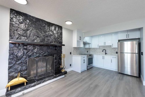 13 Martingrove Court Ne, Calgary, AB - Indoor Photo Showing Kitchen With Fireplace With Upgraded Kitchen
