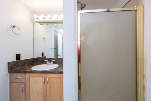 13 Martingrove Court Ne, Calgary, AB - Indoor Photo Showing Bathroom