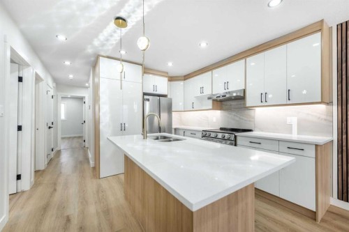 7277 Laguna Way Ne, Calgary, AB - Indoor Photo Showing Kitchen With Double Sink With Upgraded Kitchen