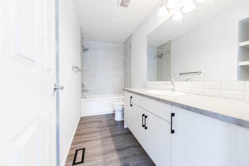 8888 Cityscape Drive Ne, Calgary, AB - Indoor Photo Showing Bathroom