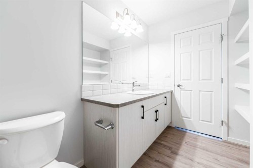8888 Cityscape Drive Ne, Calgary, AB - Indoor Photo Showing Bathroom