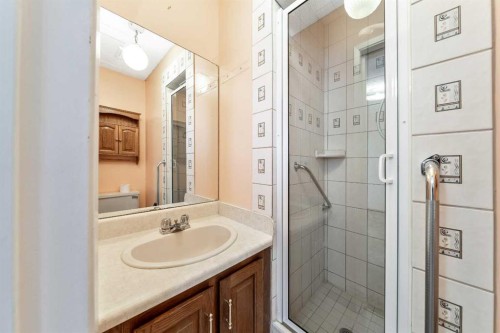 24 Templeson Road Ne, Calgary, AB - Indoor Photo Showing Bathroom