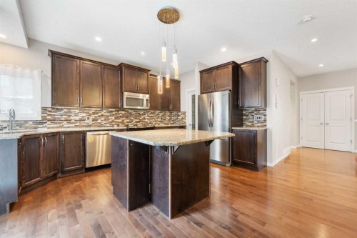 220 Walden Heights Se, Calgary, AB - Indoor Photo Showing Kitchen With Stainless Steel Kitchen With Upgraded Kitchen