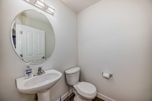 79 Saddlebrook Way Ne, Calgary, AB - Indoor Photo Showing Bathroom