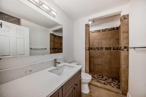 79 Saddlebrook Way Ne, Calgary, AB - Indoor Photo Showing Bathroom