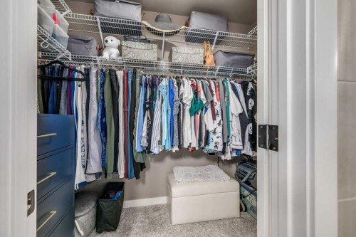 140 Cranford Walk Se, Calgary, AB - Indoor With Storage