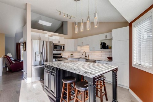19 Sunlake Gardens Se, Calgary, AB - Indoor Photo Showing Kitchen With Upgraded Kitchen