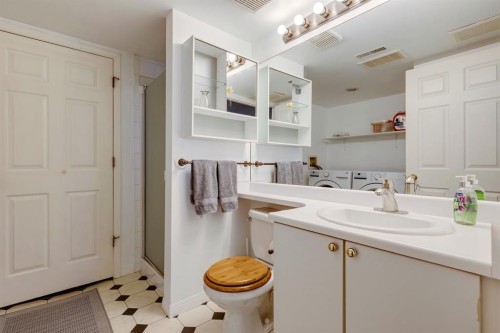 19 Sunlake Gardens Se, Calgary, AB - Indoor Photo Showing Bathroom