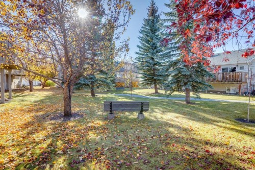 19 Sunlake Gardens Se, Calgary, AB - Outdoor