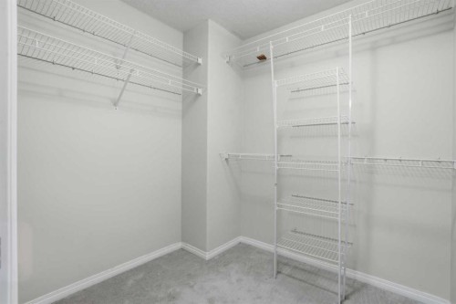 8 Taralake Way Ne, Calgary, AB - Indoor With Storage