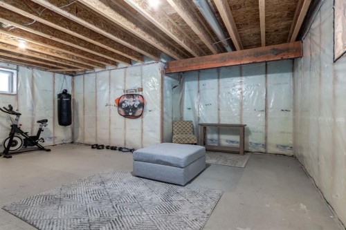 82 Cranwell Common Se, Calgary, AB - Indoor Photo Showing Basement