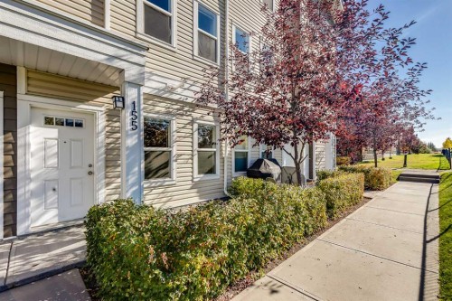 155 Silverado Common Sw, Calgary, AB - Outdoor