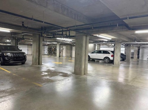 7204-14 Hemlock Crescent Sw, Calgary, AB - Indoor Photo Showing Garage