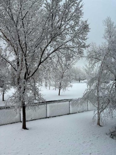 7204-14 Hemlock Crescent Sw, Calgary, AB - Outdoor