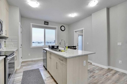 14 Belvedere Common Se, Calgary, AB - Indoor Photo Showing Kitchen With Double Sink
