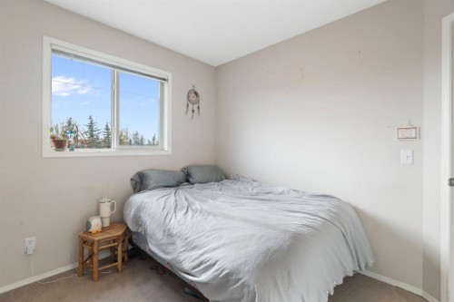 284 Copperfield Heights Se, Calgary, AB - Indoor Photo Showing Bedroom