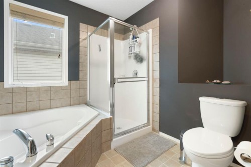 284 Copperfield Heights Se, Calgary, AB - Indoor Photo Showing Bathroom