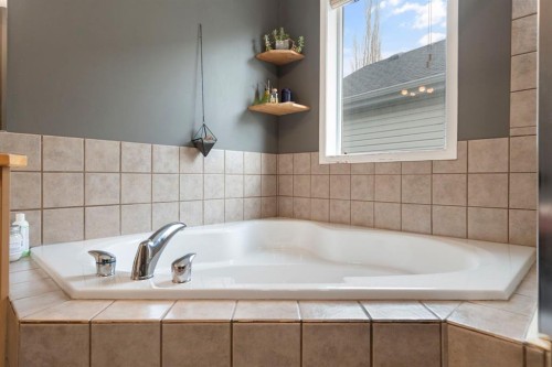 284 Copperfield Heights Se, Calgary, AB - Indoor Photo Showing Bathroom