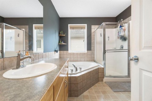 284 Copperfield Heights Se, Calgary, AB - Indoor Photo Showing Bathroom