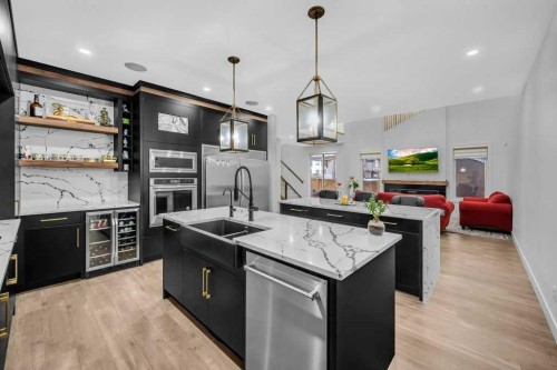 95 Saddlepeace Way Ne, Calgary, AB - Indoor Photo Showing Kitchen With Double Sink With Upgraded Kitchen