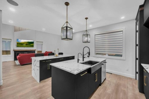 95 Saddlepeace Way Ne, Calgary, AB - Indoor Photo Showing Kitchen With Upgraded Kitchen