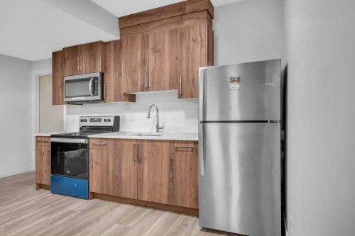 95 Saddlepeace Way Ne, Calgary, AB - Indoor Photo Showing Kitchen