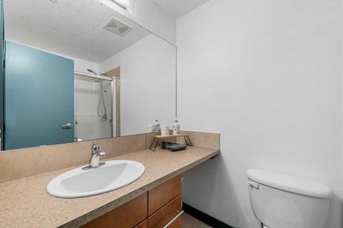 306-2307 14 Street Sw, Calgary, AB - Indoor Photo Showing Bathroom
