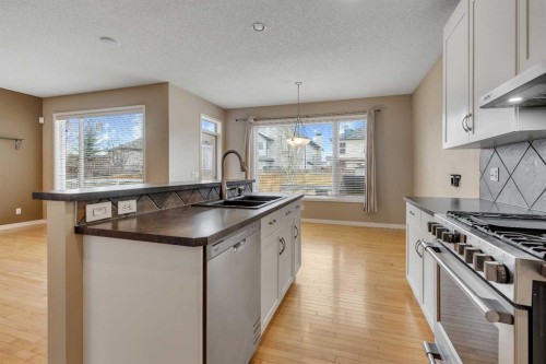 119 Valley Stream Circle Nw, Calgary, AB - Indoor Photo Showing Kitchen With Double Sink With Upgraded Kitchen