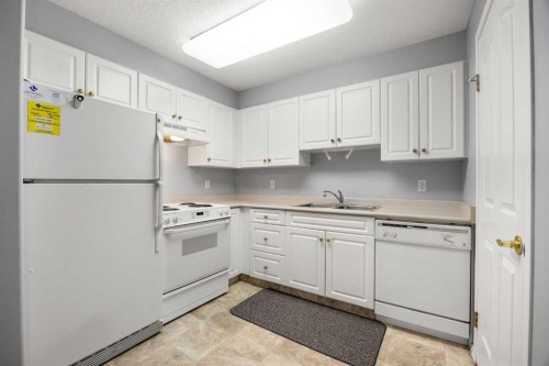 3214-6818 Pinecliff Grove Ne, Calgary, AB - Indoor Photo Showing Kitchen With Double Sink