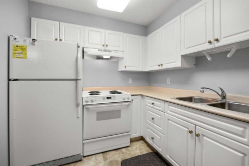 3214-6818 Pinecliff Grove Ne, Calgary, AB - Indoor Photo Showing Kitchen With Double Sink