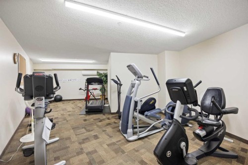 3214-6818 Pinecliff Grove Ne, Calgary, AB - Indoor Photo Showing Gym Room
