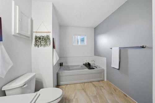 5 Greenview Way, Strathmore, AB - Indoor Photo Showing Bathroom