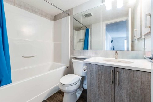 3217-6118 80 Avenue Ne, Calgary, AB - Indoor Photo Showing Bathroom