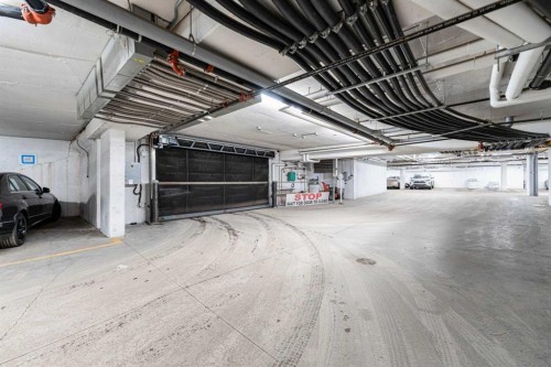 3217-6118 80 Avenue Ne, Calgary, AB - Indoor Photo Showing Garage