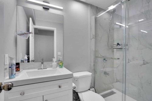 257 Saddlebrook Point Ne, Calgary, AB - Indoor Photo Showing Bathroom