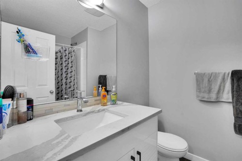 257 Saddlebrook Point Ne, Calgary, AB - Indoor Photo Showing Bathroom