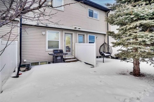 257 Saddlebrook Point Ne, Calgary, AB - Outdoor