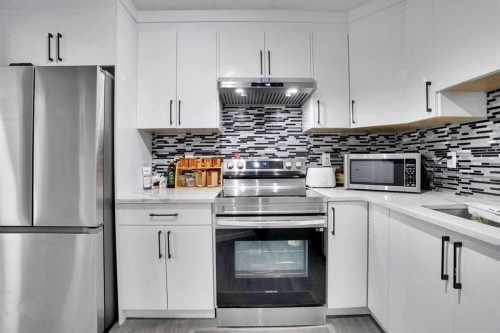257 Saddlebrook Point Ne, Calgary, AB - Indoor Photo Showing Kitchen With Stainless Steel Kitchen With Upgraded Kitchen