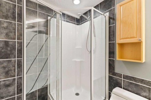 111 Edgebyne Crescent Nw, Calgary, AB - Indoor Photo Showing Bathroom
