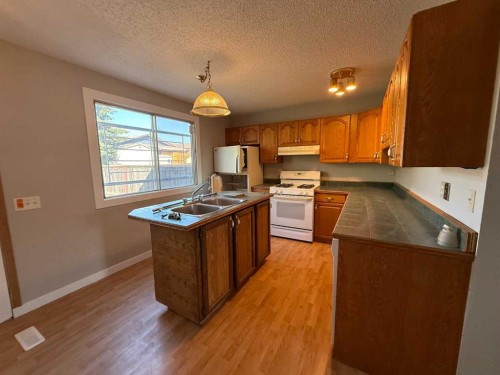 74 Aberdare Way Ne, Calgary, AB - Indoor Photo Showing Kitchen With Double Sink