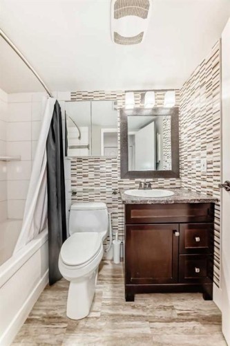 208-20 Dover Point Se, Calgary, AB - Indoor Photo Showing Bathroom