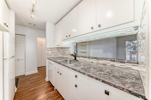 208-20 Dover Point Se, Calgary, AB - Indoor Photo Showing Kitchen With Upgraded Kitchen