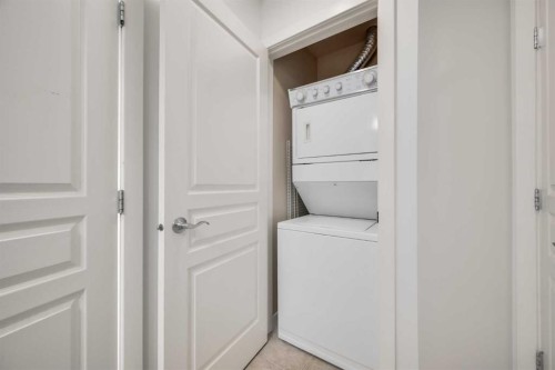301-208 Holy Cross Lane Sw, Calgary, AB - Indoor Photo Showing Laundry Room