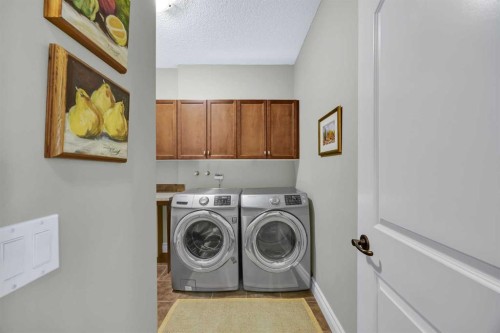 106 Cranleigh Terrace Se, Calgary, AB - Indoor Photo Showing Laundry Room
