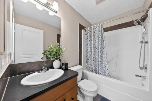 303 New Brighton Villas Se, Calgary, AB - Indoor Photo Showing Bathroom