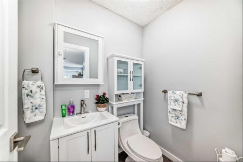 137 Coverton Circle Ne, Calgary, AB - Indoor Photo Showing Bathroom