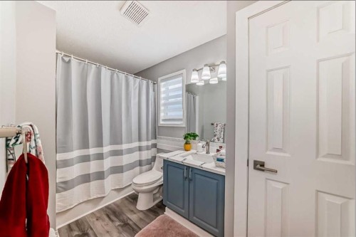 137 Coverton Circle Ne, Calgary, AB - Indoor Photo Showing Bathroom